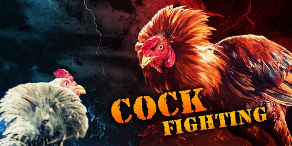 Judi Sabung Ayam Online S128 dan SV388